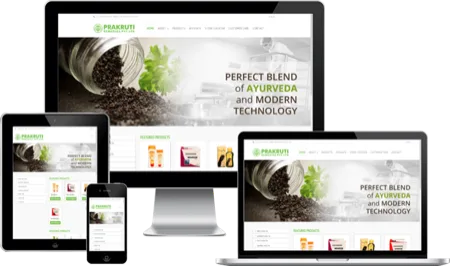Prakruti Remedies website on desktop, tablet and phone